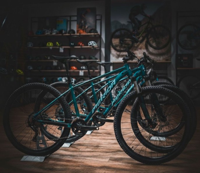 No buzz  Just nature